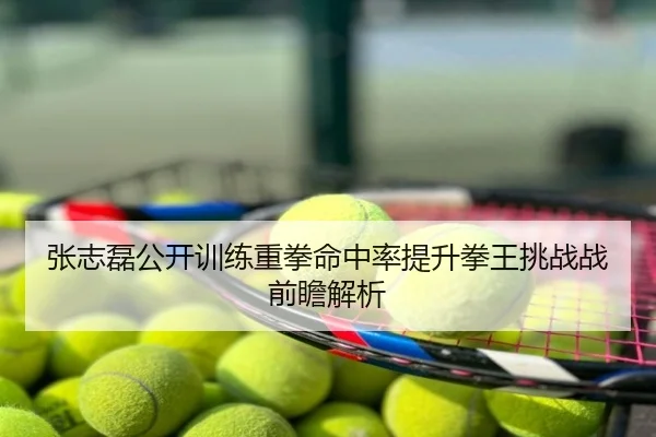张志磊公开训练重拳命中率提升拳王挑战战前瞻解析